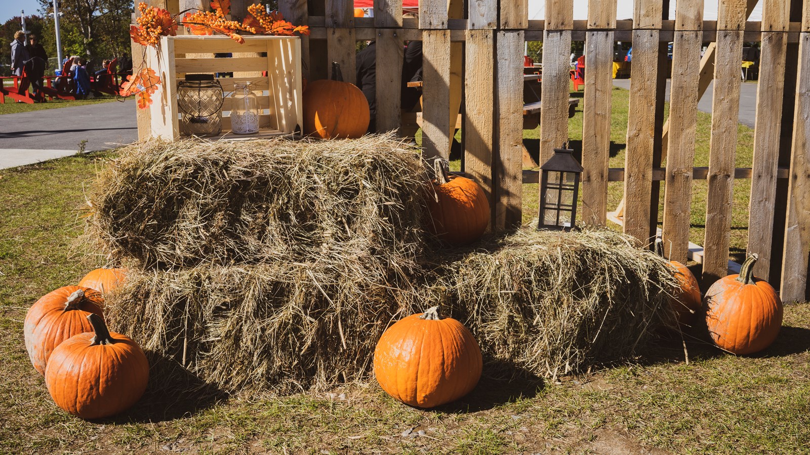 Appel de photo: montrez-nous vos décorations d'Halloween