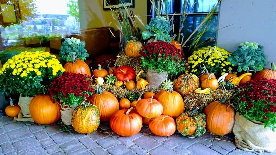 Galerie 1: vos décorations d'Halloween