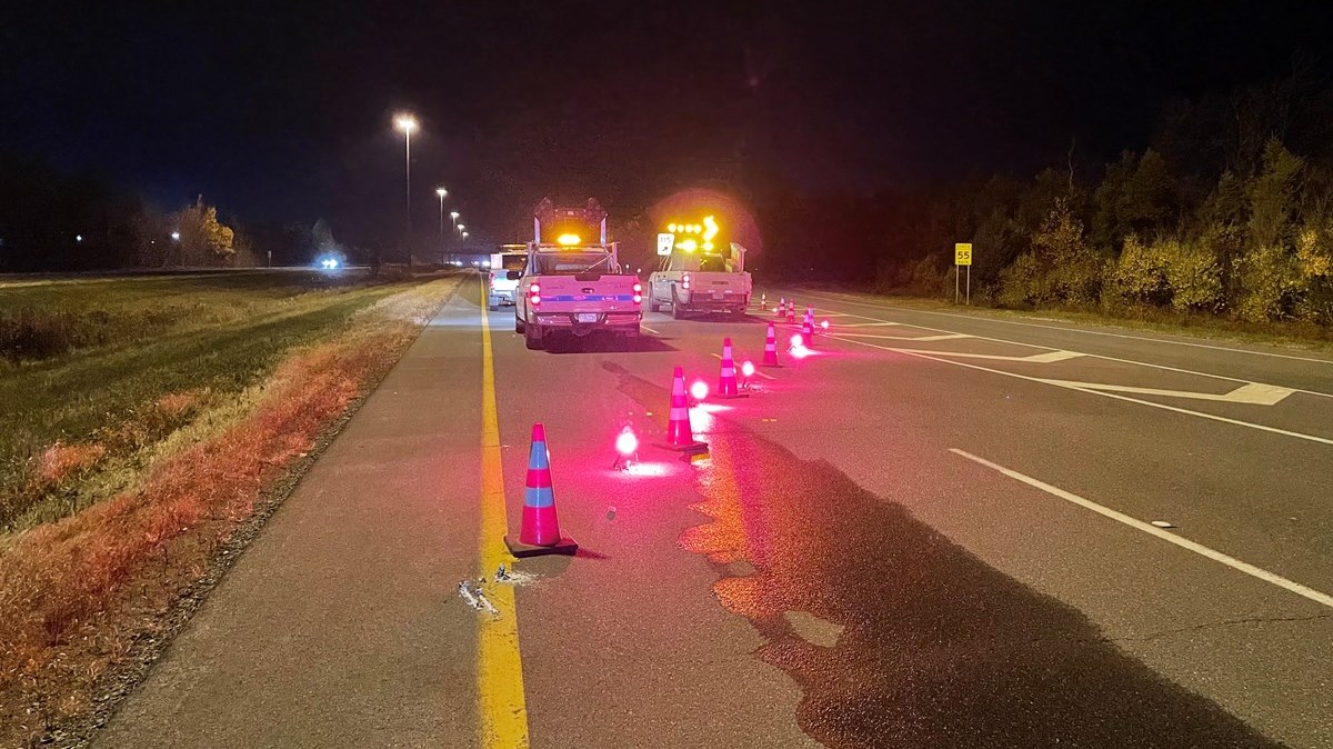 Un orignal a causé quatre accidents à Saint-Lambert-de-Lauzon