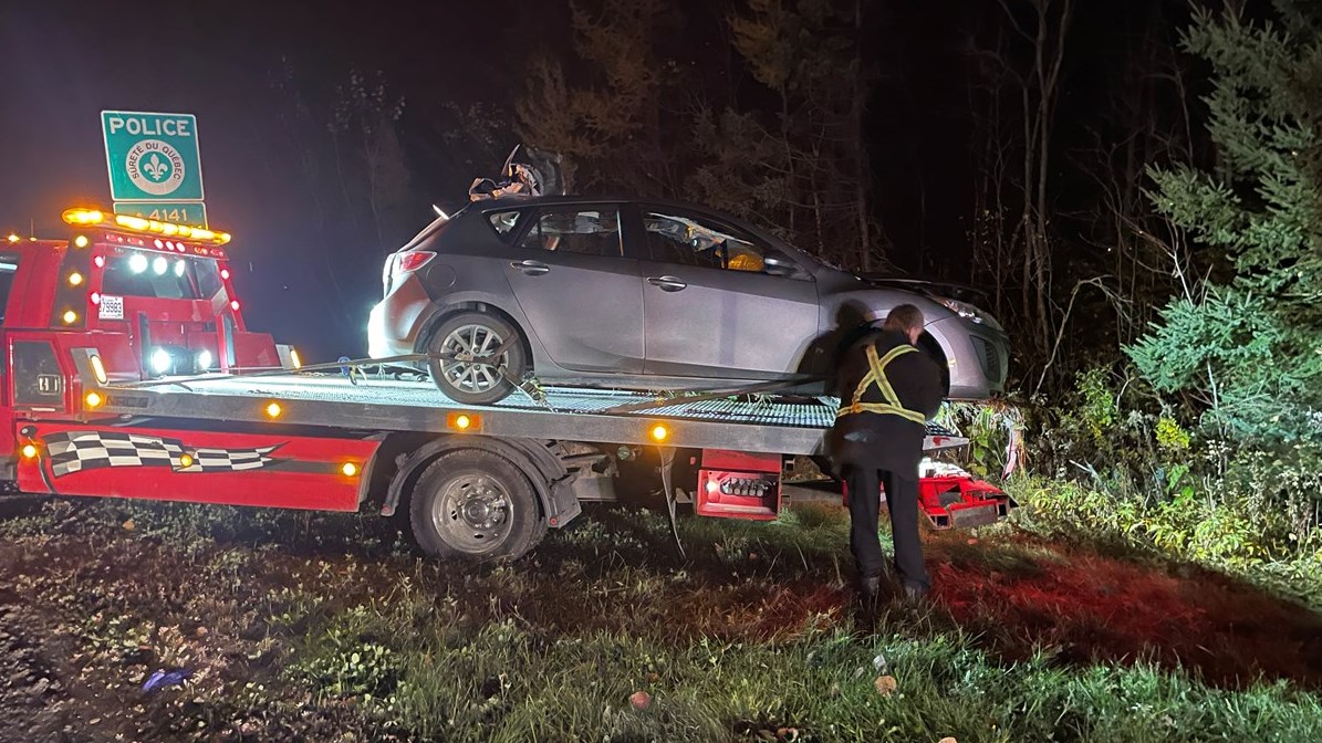 Un orignal a causé quatre accidents à Saint-Lambert-de-Lauzon