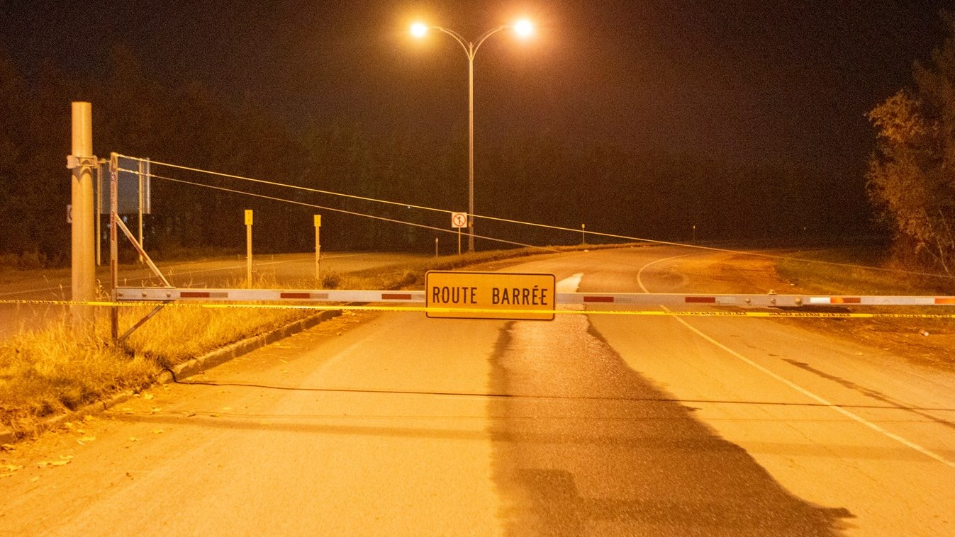 Un orignal a causé quatre accidents à Saint-Lambert-de-Lauzon