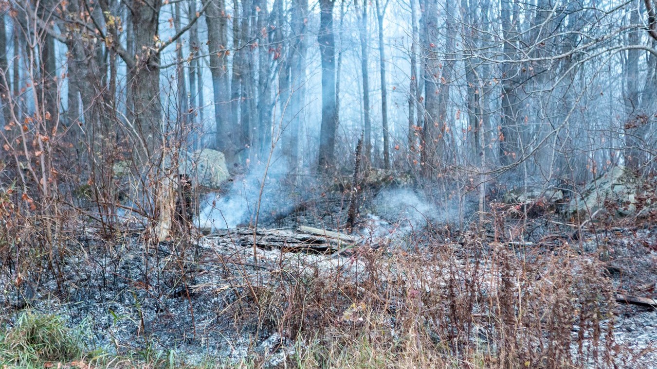 Feu de forêt à Saint-Odilon-de-Cranbourne