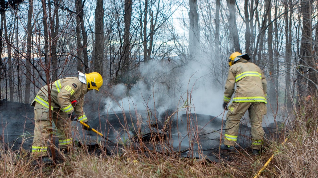 Feu de forêt à Saint-Odilon-de-Cranbourne