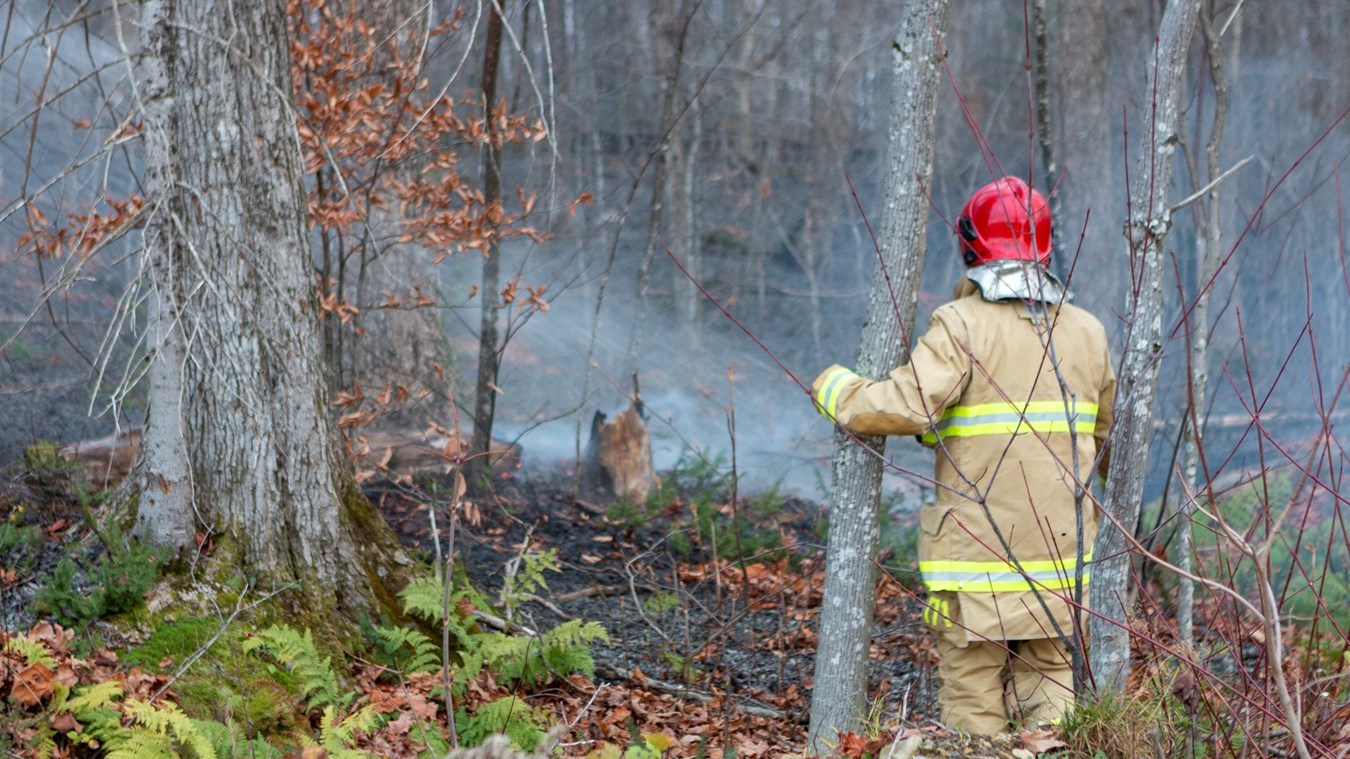 Feu de forêt à Saint-Odilon-de-Cranbourne