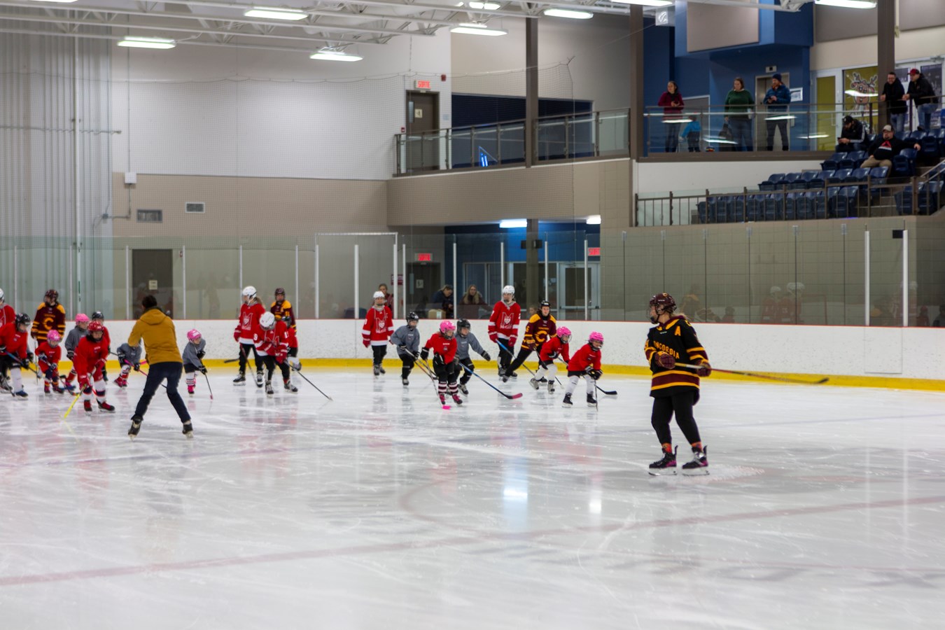 Des étoiles dans les yeux des jeunes hockeyeuses