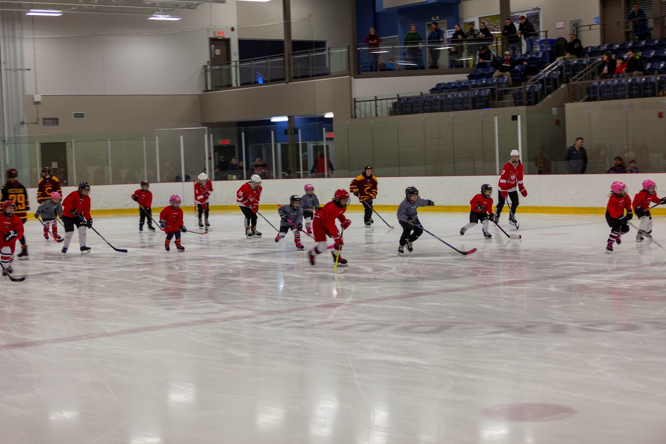 Des étoiles dans les yeux des jeunes hockeyeuses