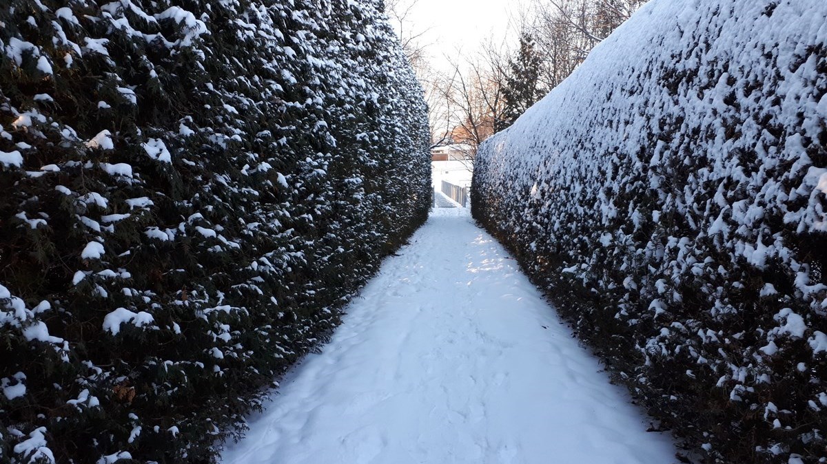 Sainte-Marie Passerelle Parc Carter