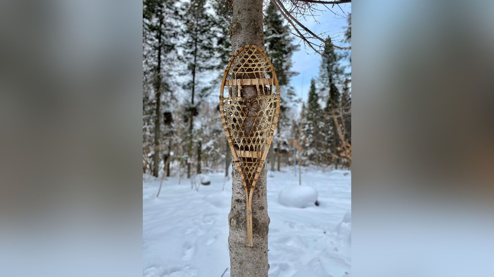 Parc Taschereau, Sainte-Marie