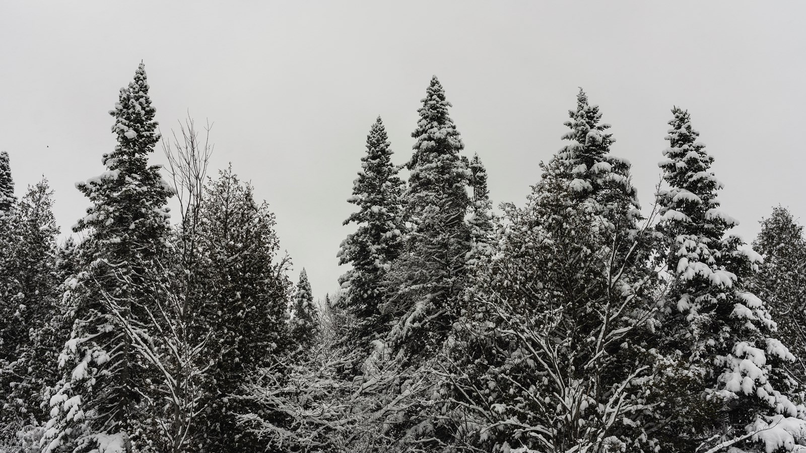L'hiver est grand