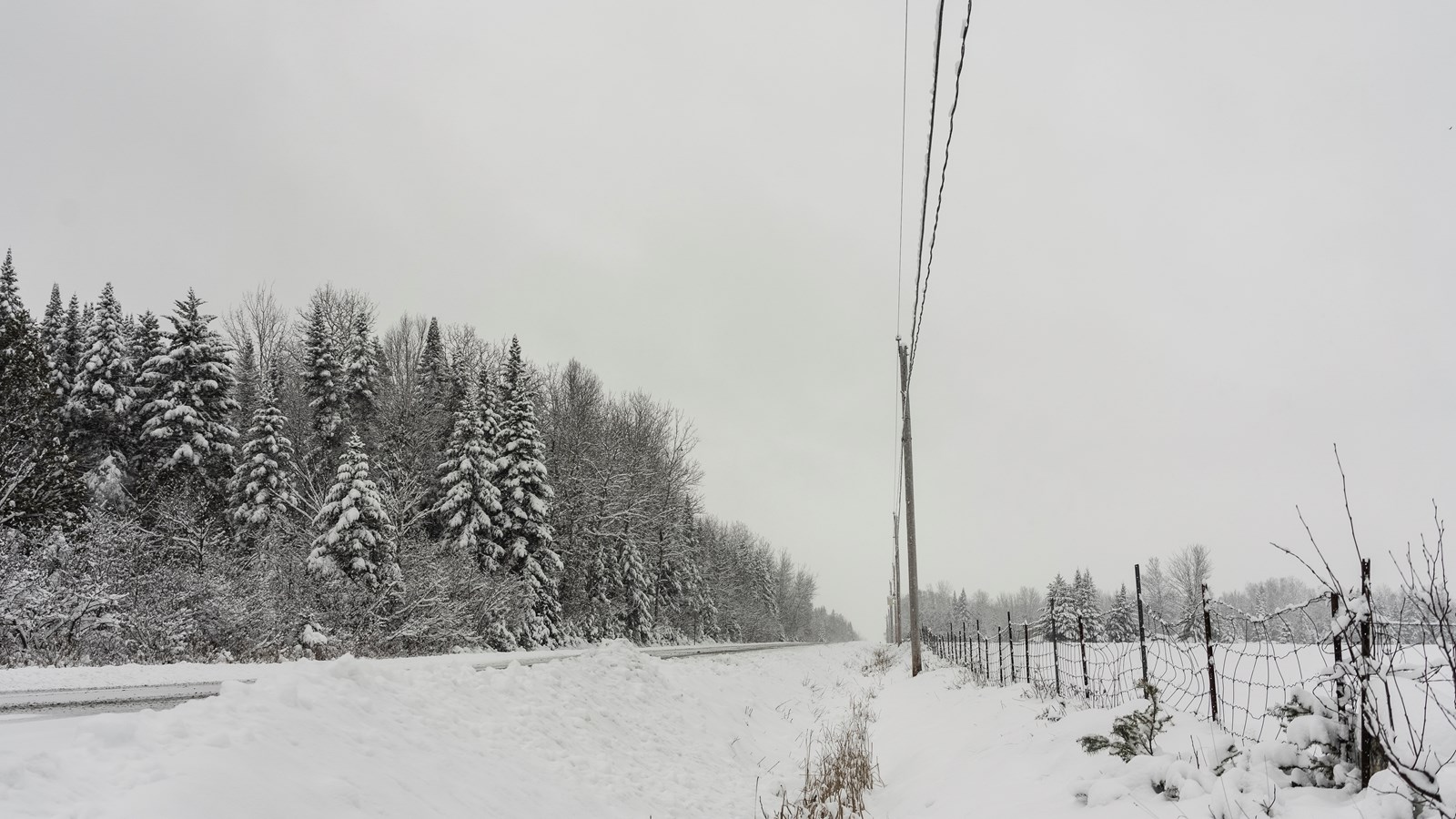 L'hiver est grand