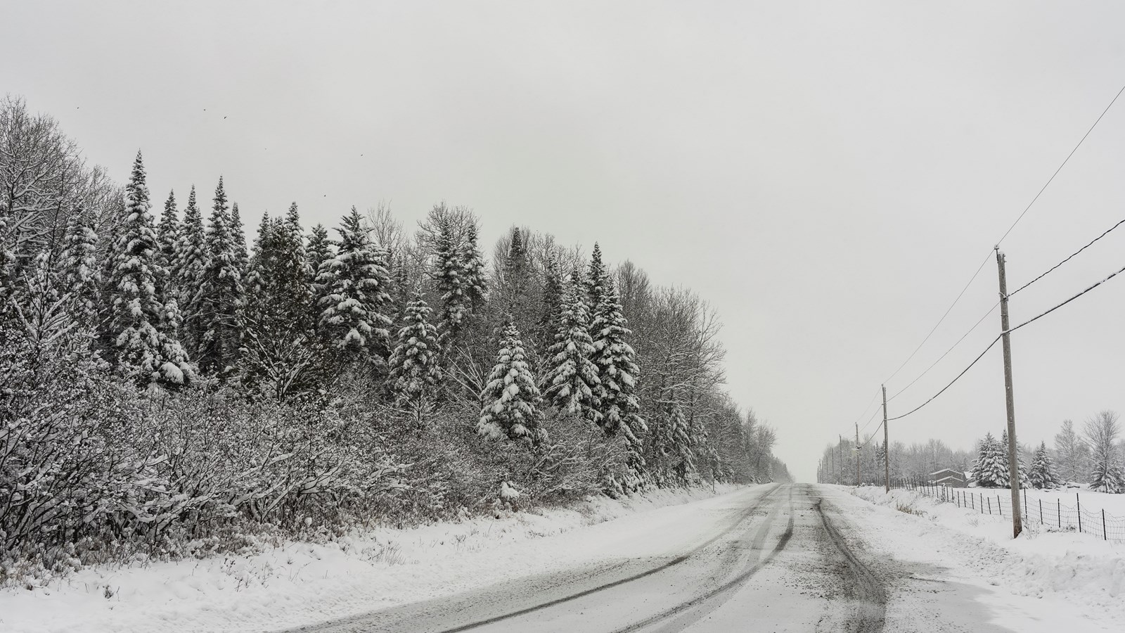 L'hiver est grand