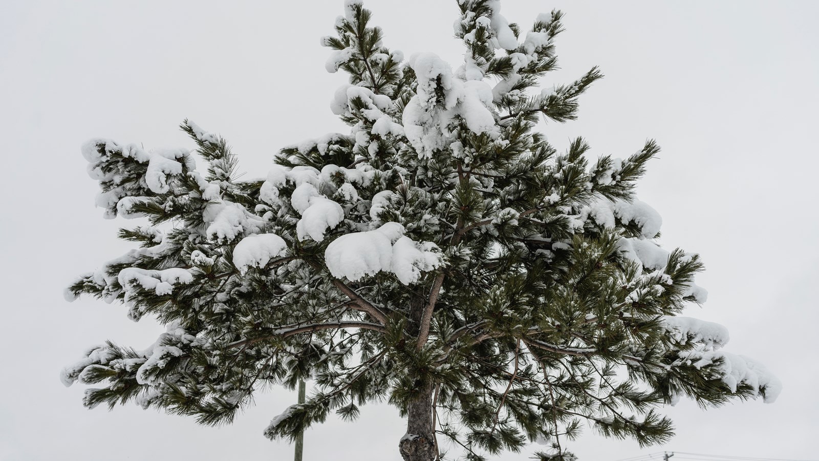 L'hiver est grand