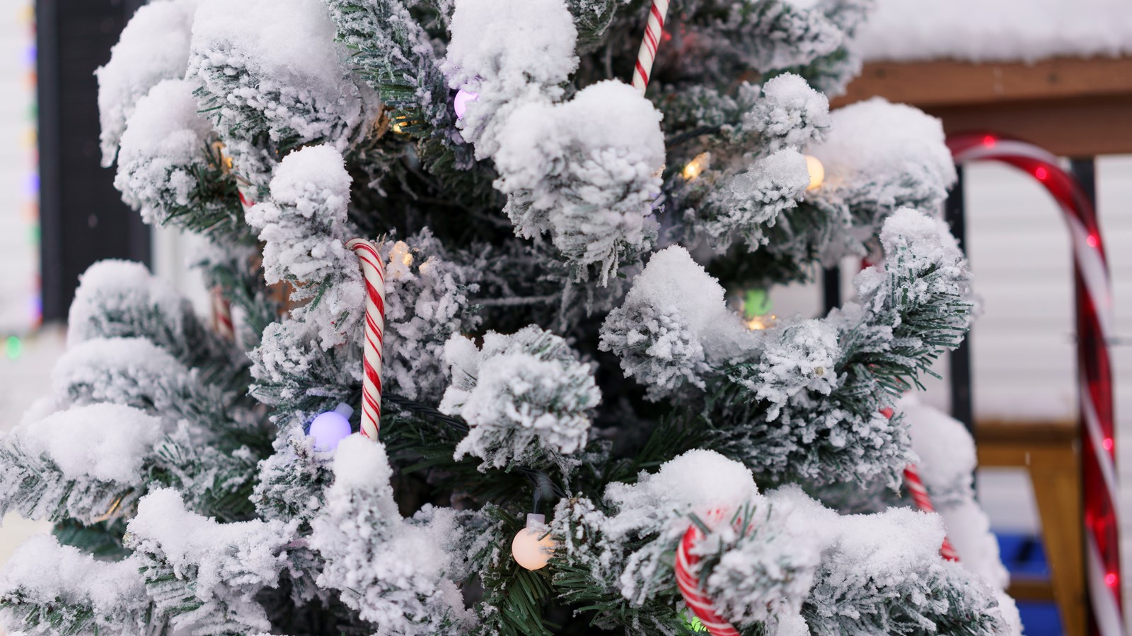 Il est encore temps d'écrire au Père Noël