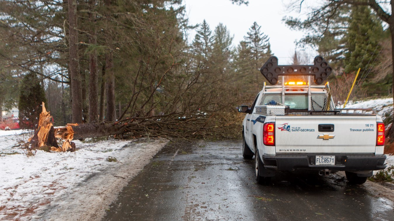 Arbre tombé sur la chaussé sur la 2e Avenue à Saint-Georges