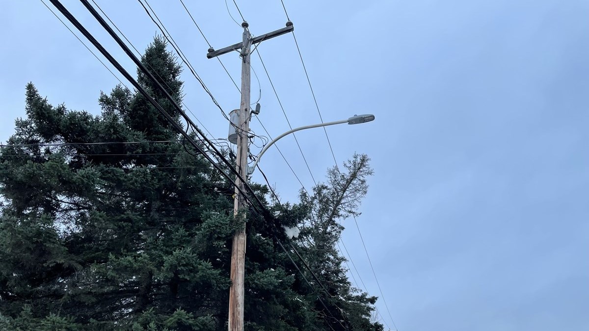 Arbre sur les fils électrique dans la 42e Rue Noud à Saint-Georges