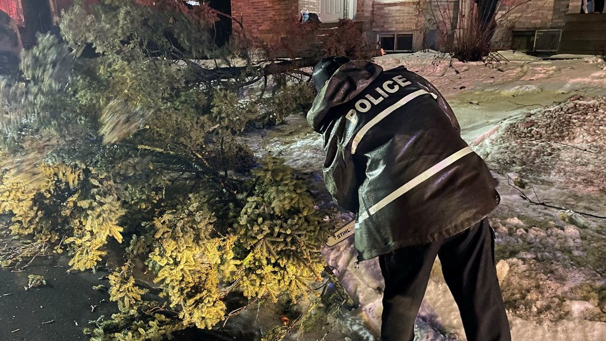 Arbre tombé sur la chaussé sur la 15e Avenue à Saint-Georges