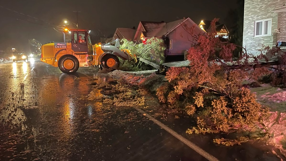 Arbre tombé sur la chaussé sur la 15e Avenue à Saint-Georges