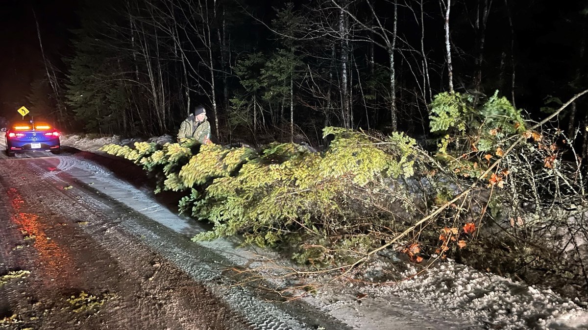 Arbre tombé sur la chaussé sur la route Veilleux-Potvin à Saint-Simon-les-Mines