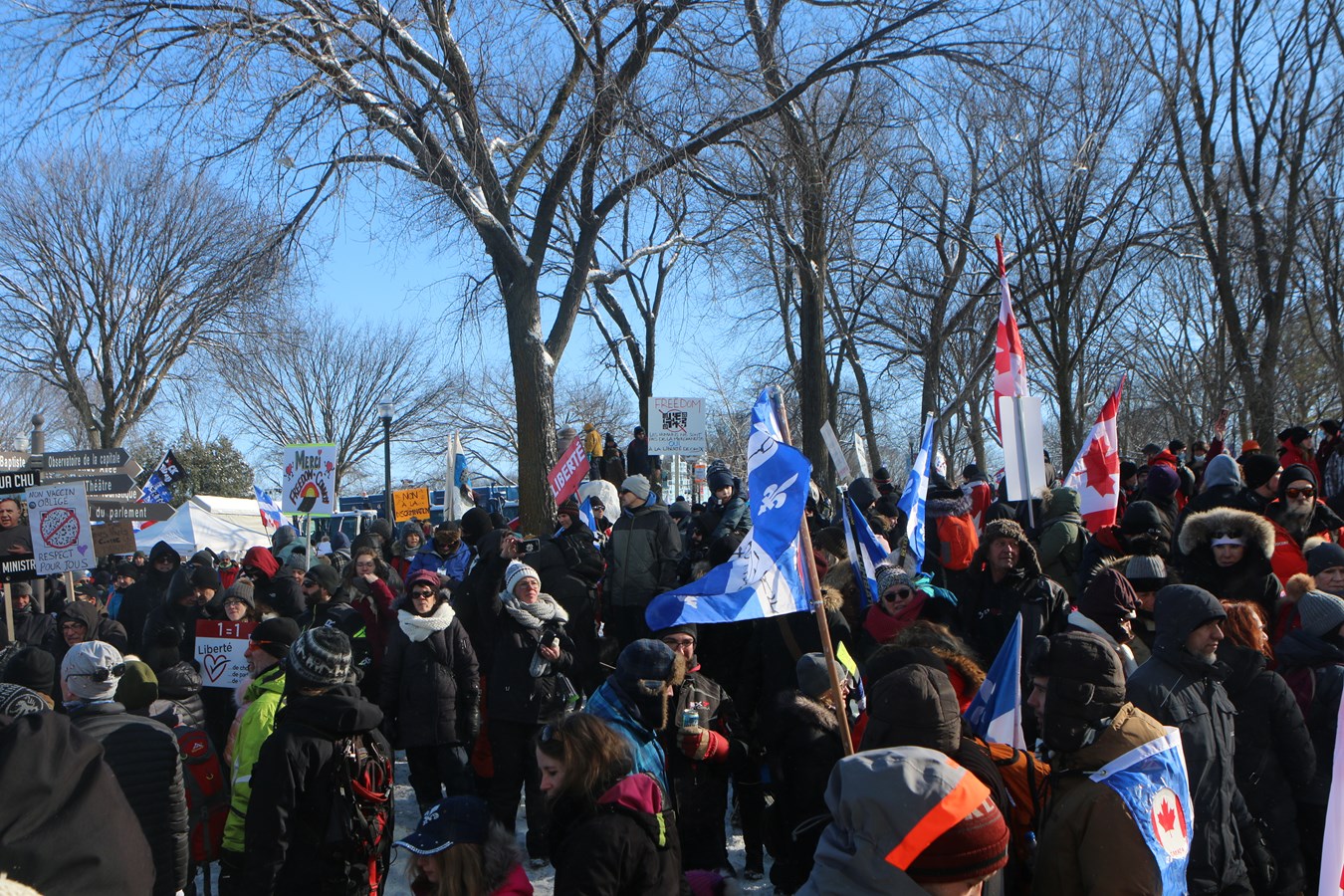 À travers la lentille de notre photojournaliste: spécial Manif de Québec