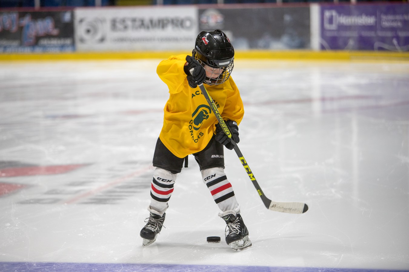 Académie des Condors: les entraîneurs sont heureux de leur succès