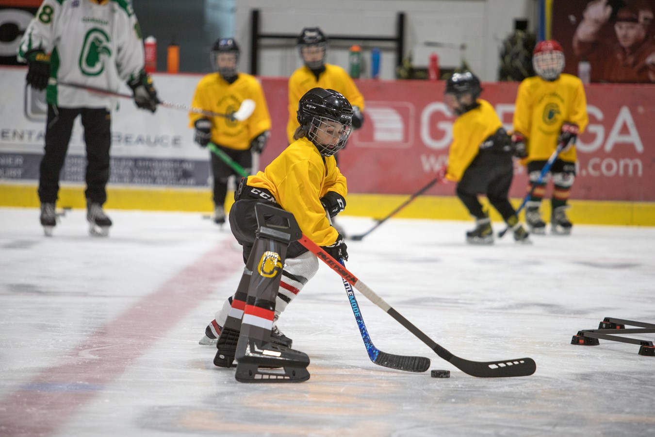 Académie des Condors: les entraîneurs sont heureux de leur succès