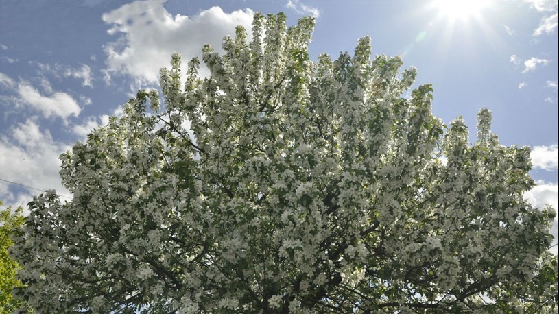 Que préférez-vous faire au printemps ?