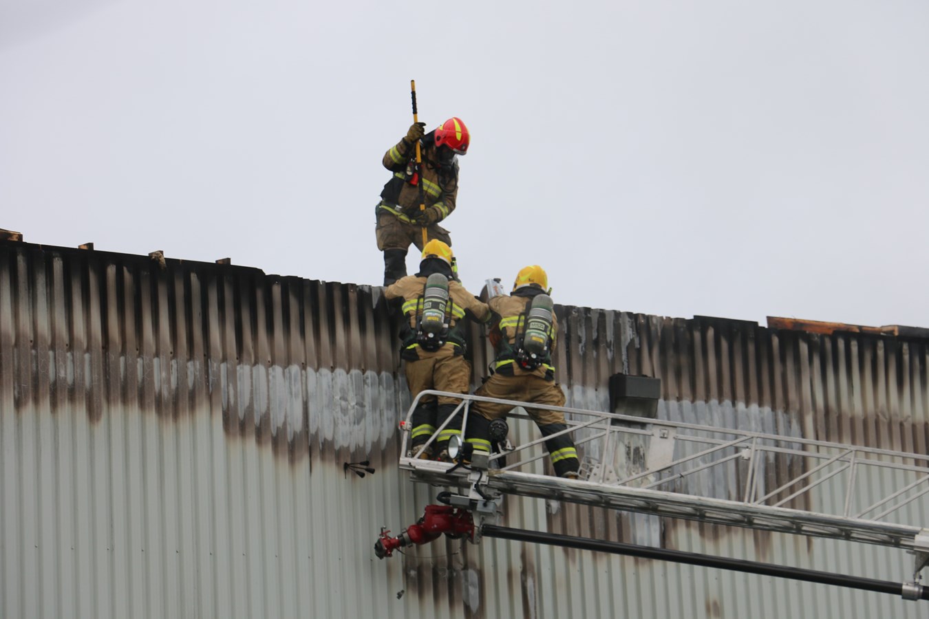 C'est la Journée internationale des pompiers