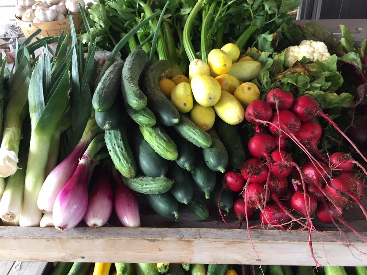 Des paniers de fruits et légumes disponibles dans six municipalités