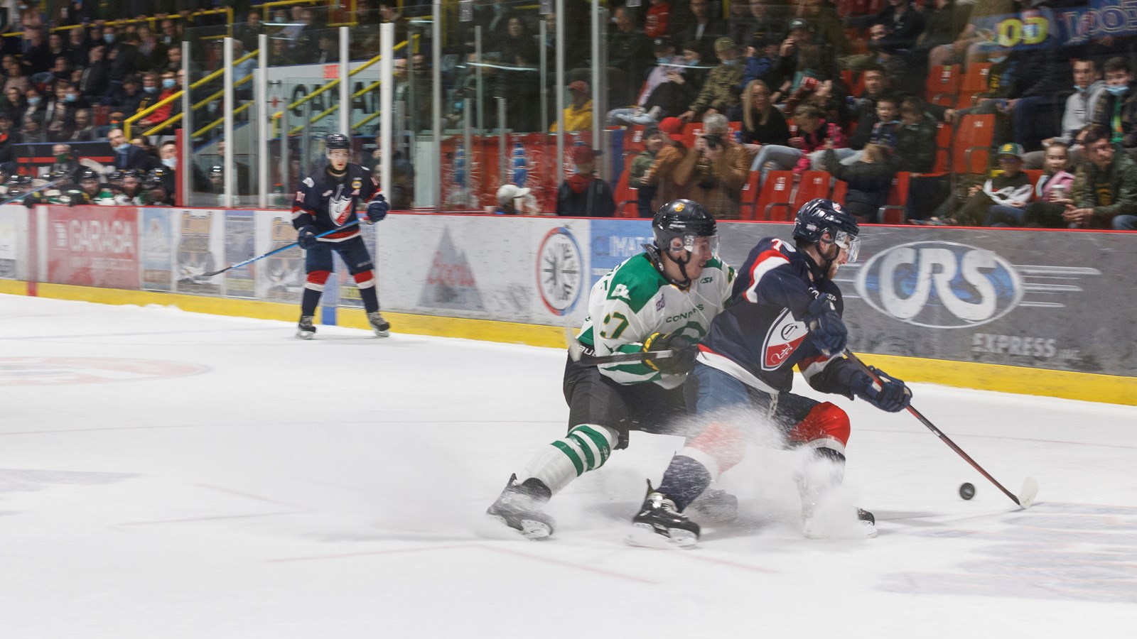 Hockey: les Condors feront face à l’élimination ce soir