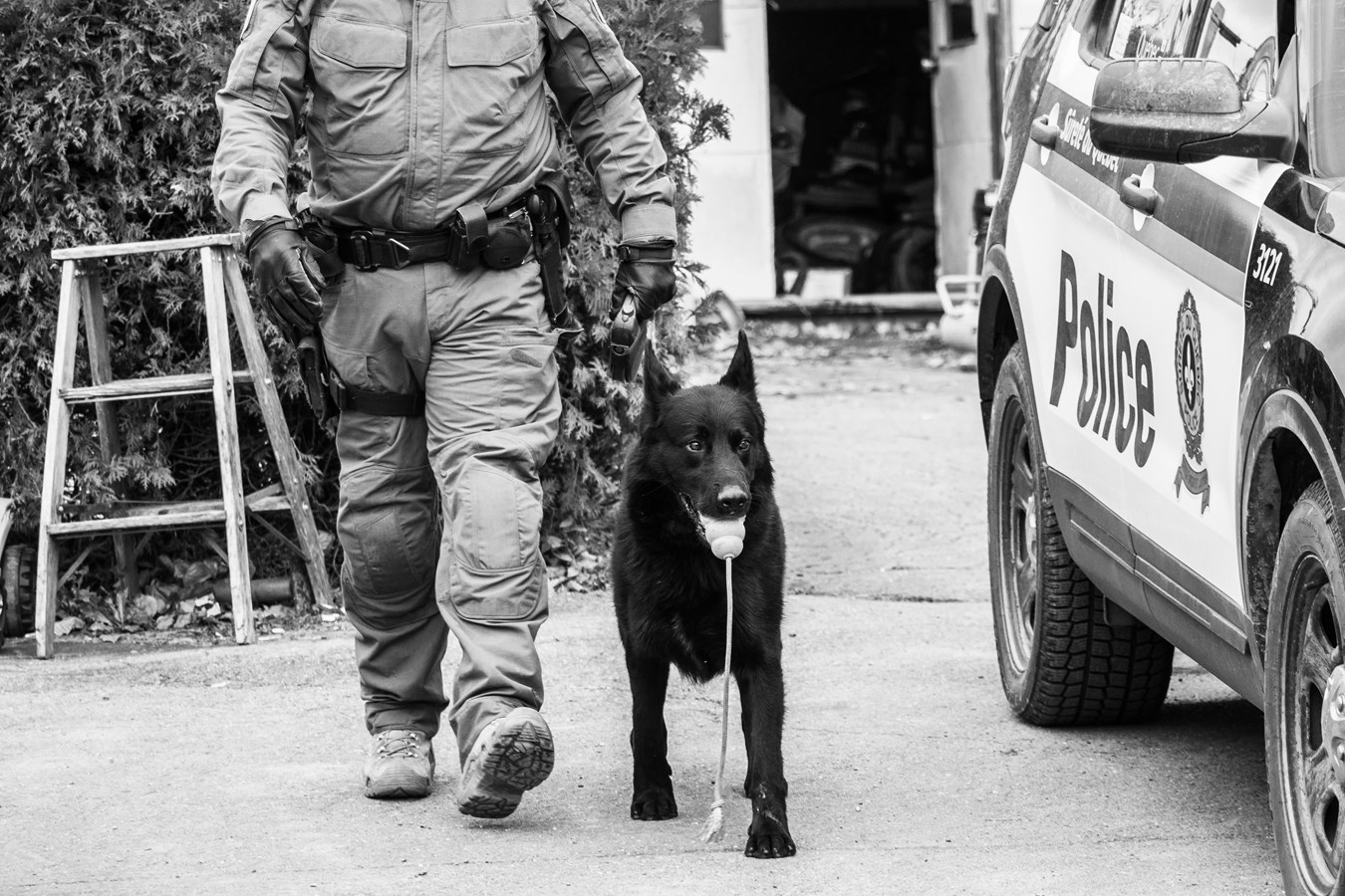 Mieux connaître la police: les agents sur le terrain