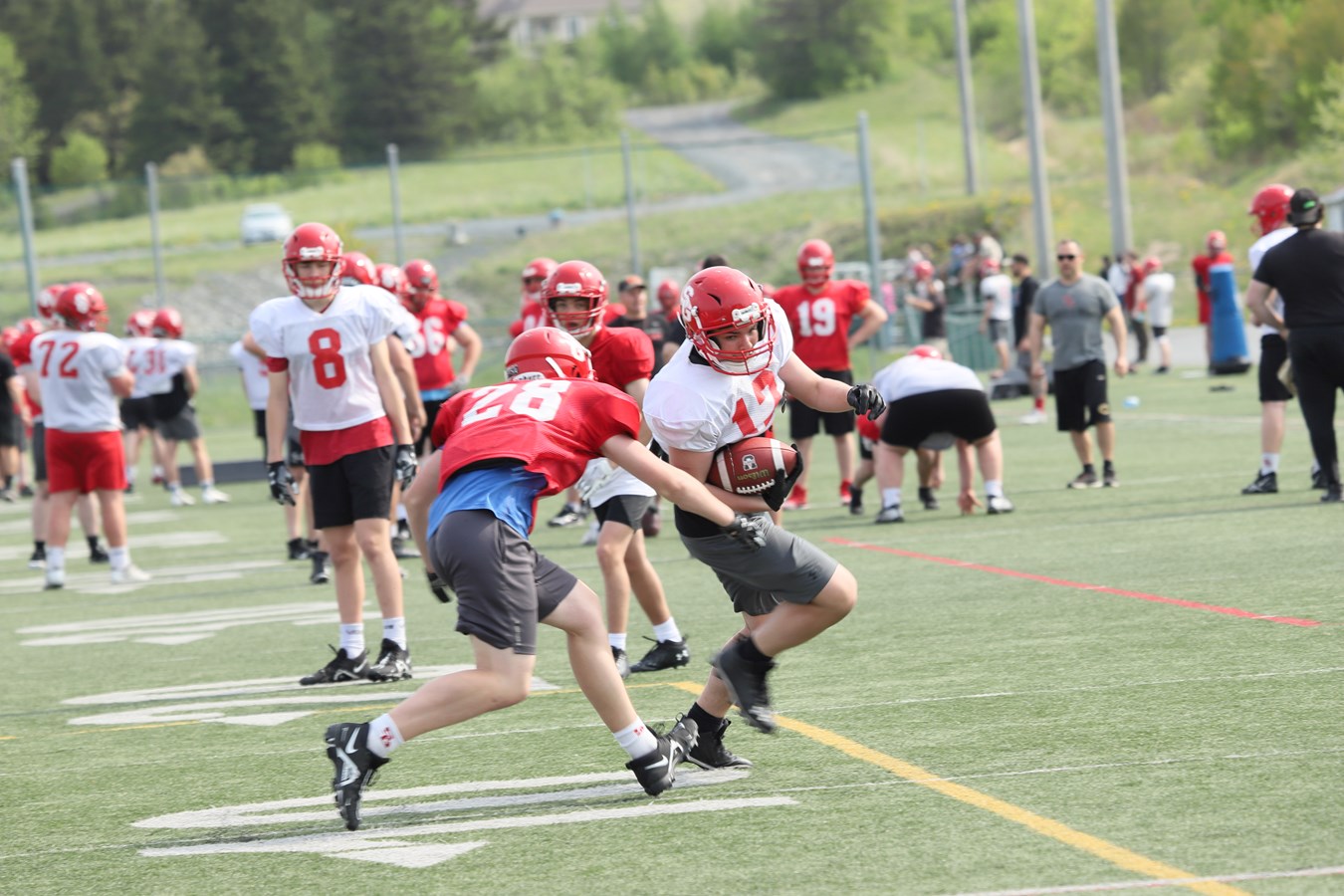 Football: des attentes élevées pour la saison à venir des Dragons