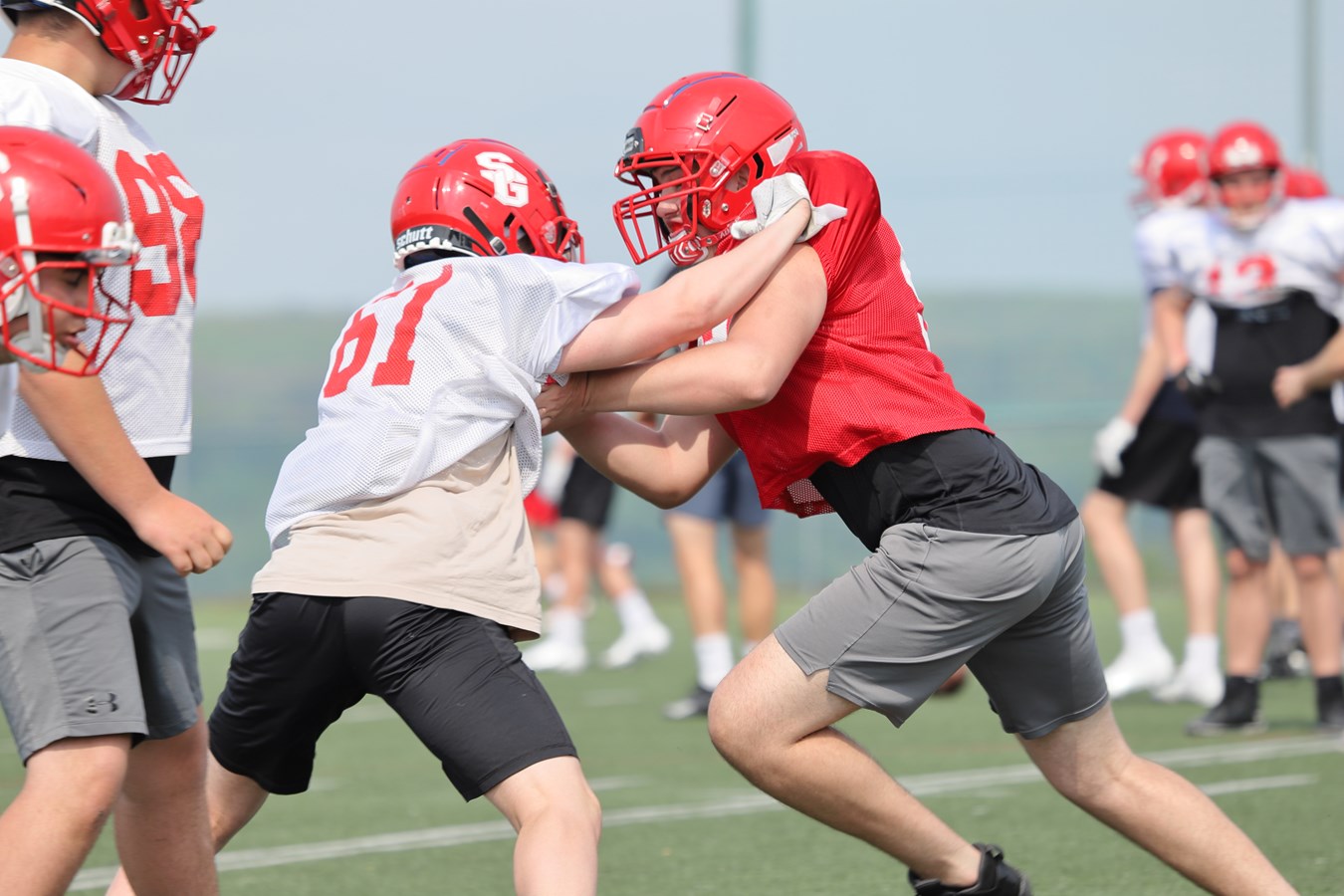 Football: des attentes élevées pour la saison à venir des Dragons