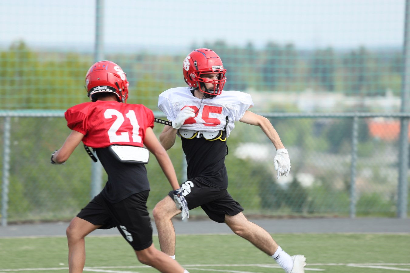 Football: des attentes élevées pour la saison à venir des Dragons