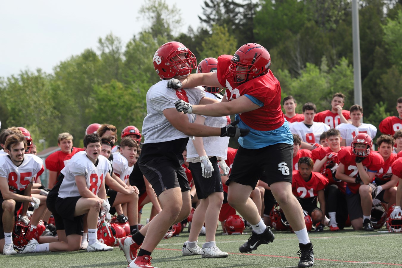 Football: des attentes élevées pour la saison à venir des Dragons