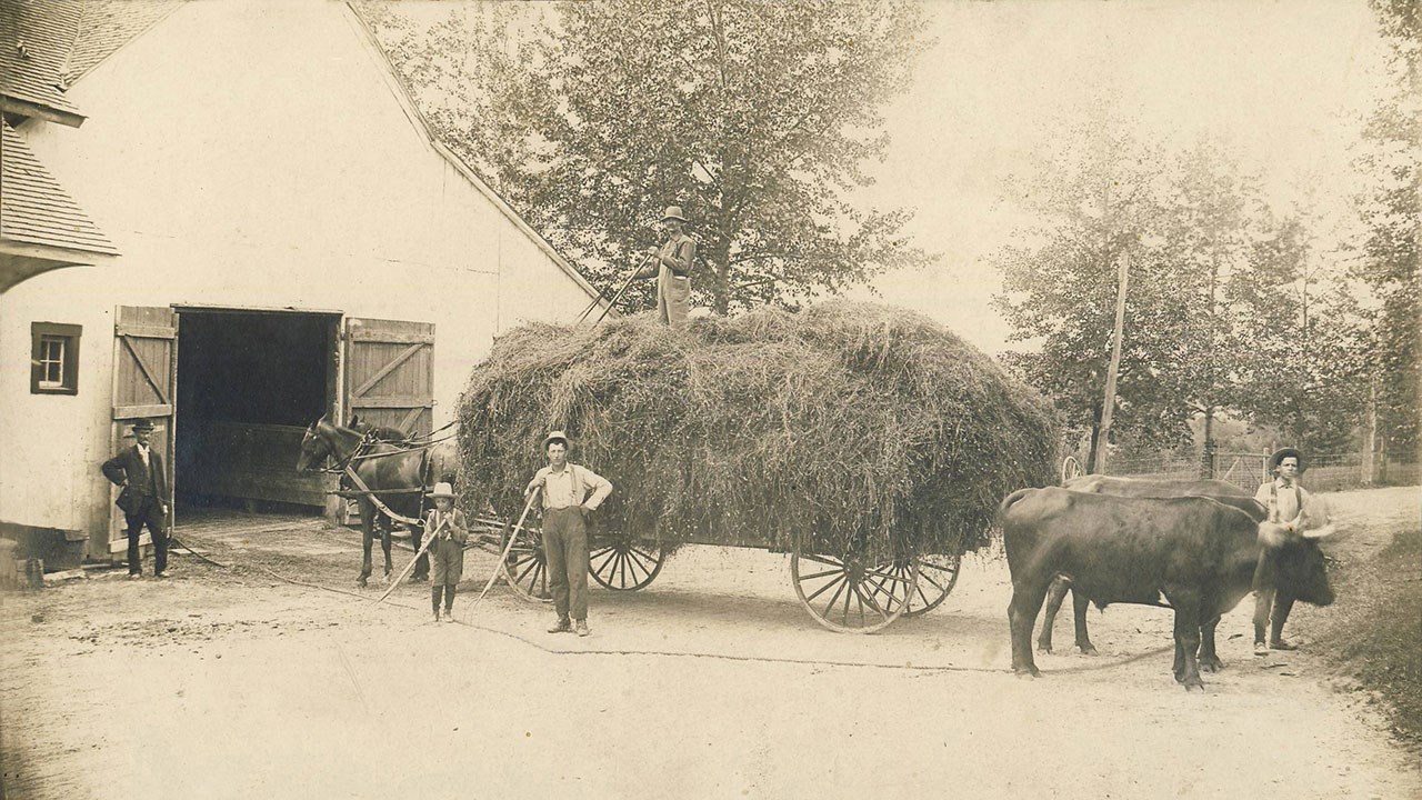 Les Cahill et Gendreau, pionniers du secteur de Jersey-Mills