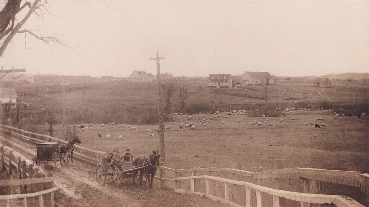 Les Cahill et Gendreau, pionniers du secteur de Jersey-Mills