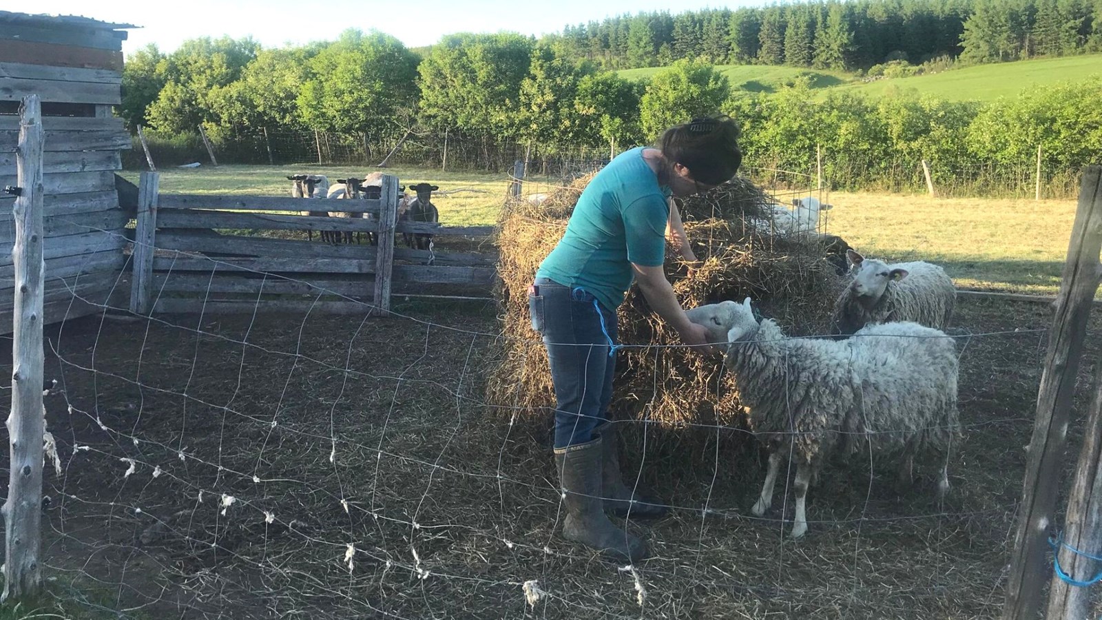 Martine Boulet ouvre les portes de sa ferme pour remercier ceux qui l'ont soutenue