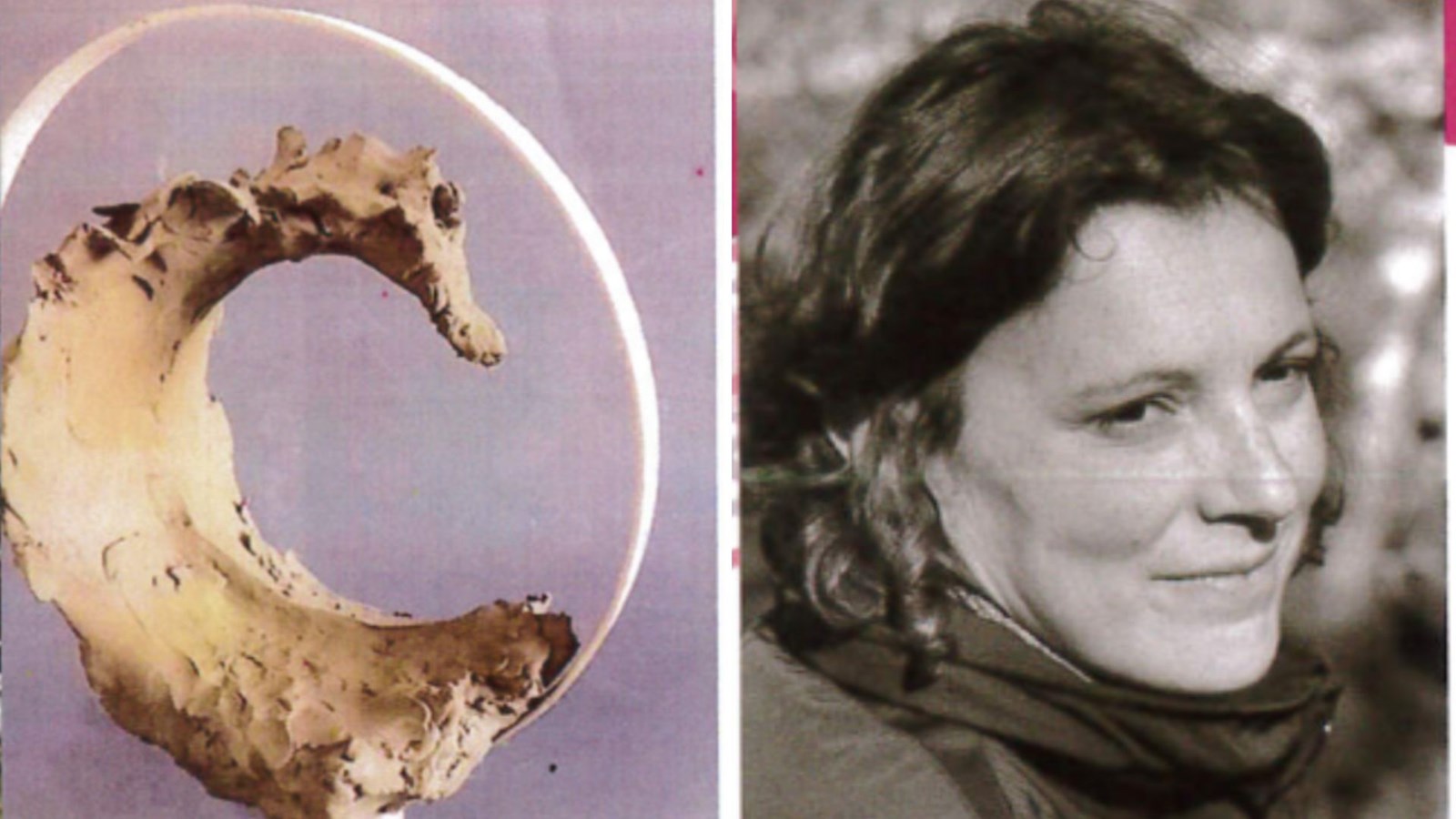 Portrait d'artiste - 7 : Elena Saracino