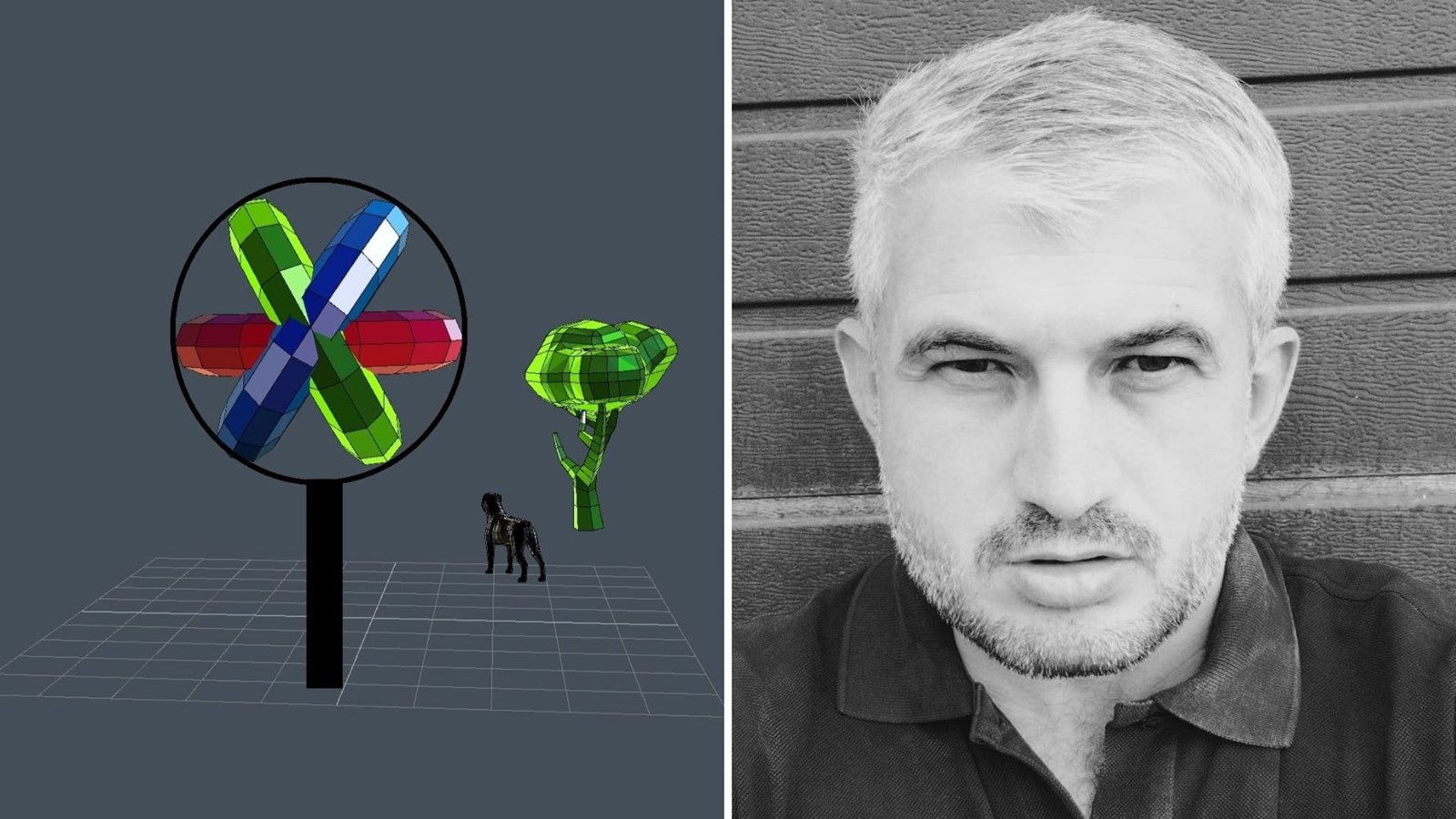 Luka Radojevic