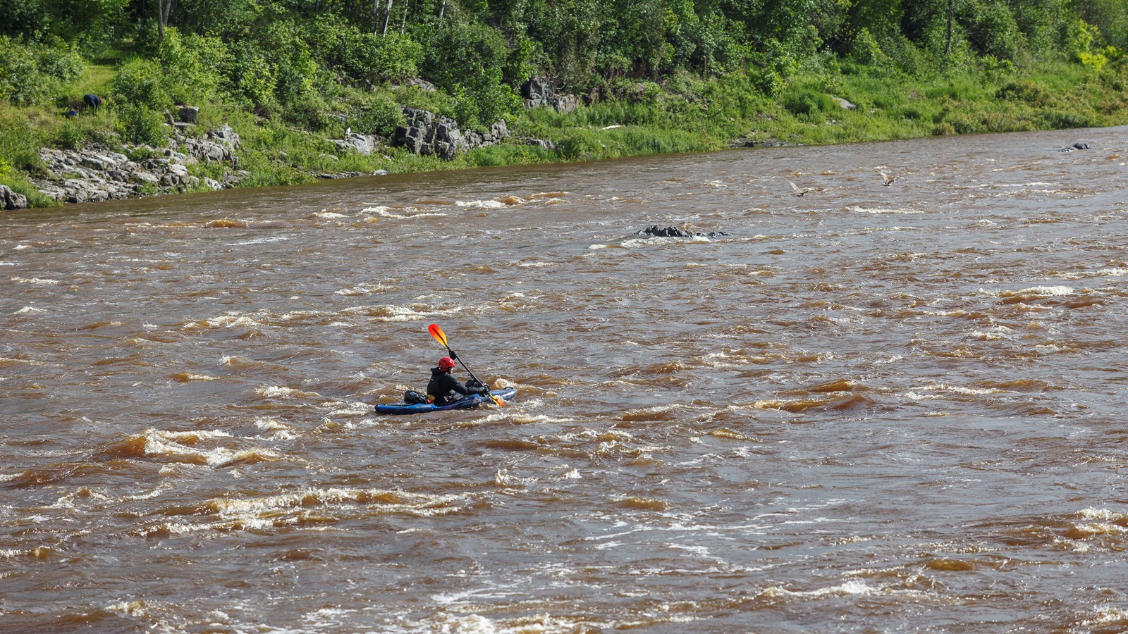 Gopal Ducharme a traversé Saint-Georges aujourd'hui