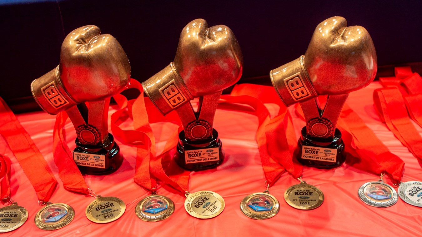 Le Super Gala de boxe de Saint-Georges frappe fort
