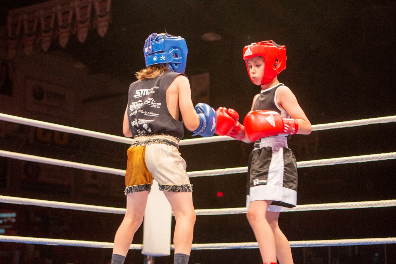 Le Super Gala de boxe de Saint-Georges frappe fort