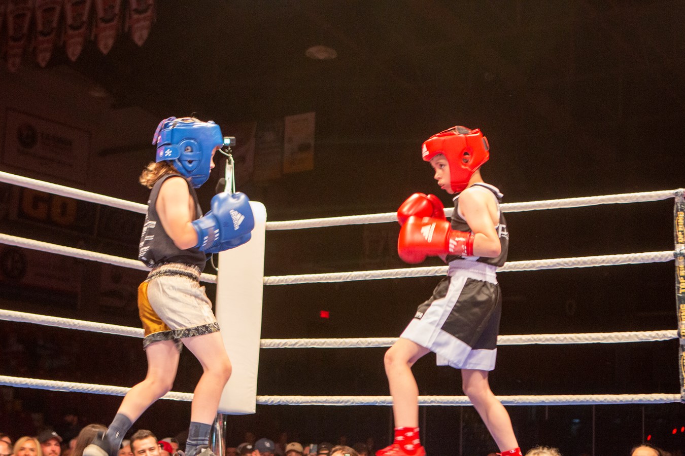 Le Super Gala de boxe de Saint-Georges frappe fort