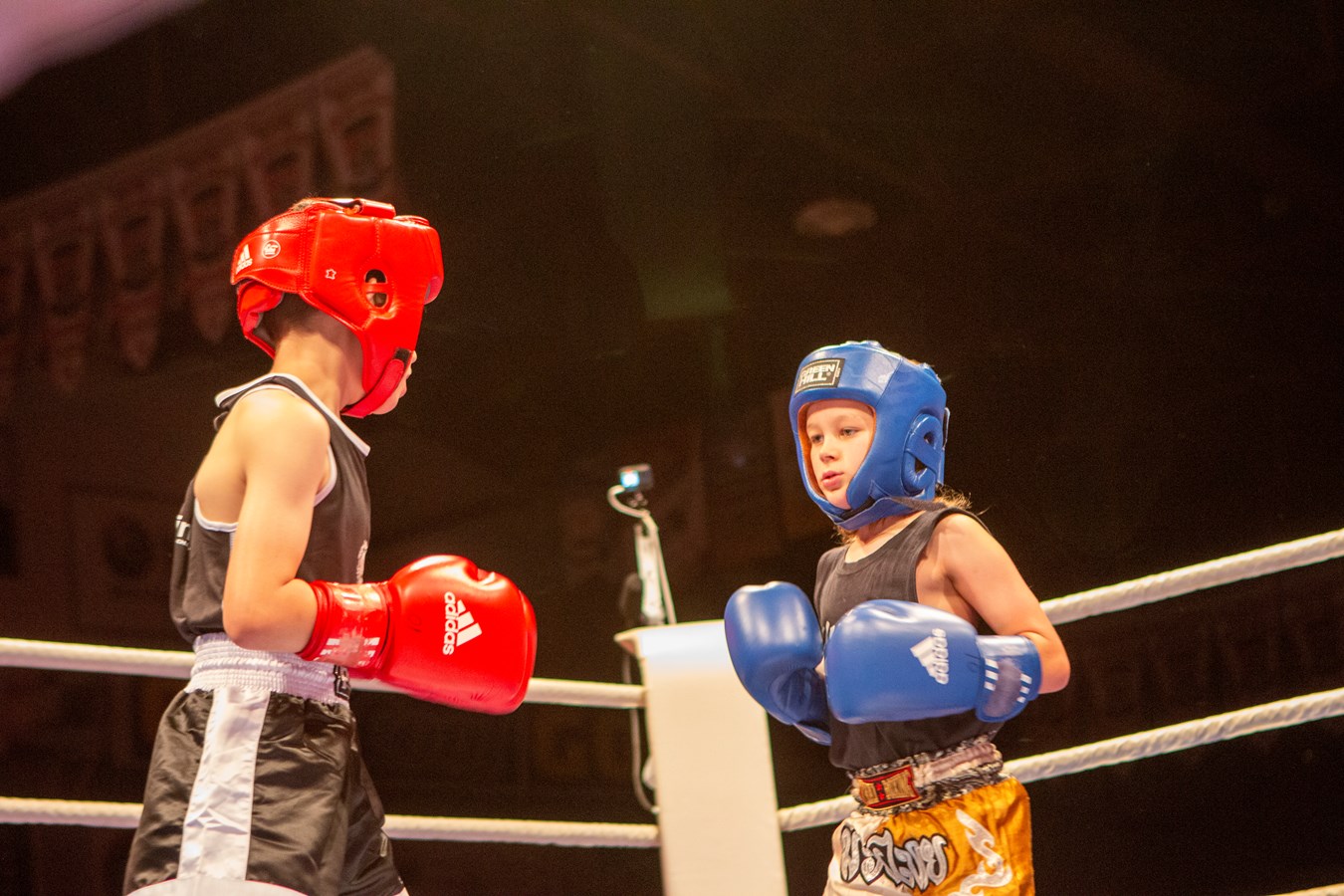 Le Super Gala de boxe de Saint-Georges frappe fort