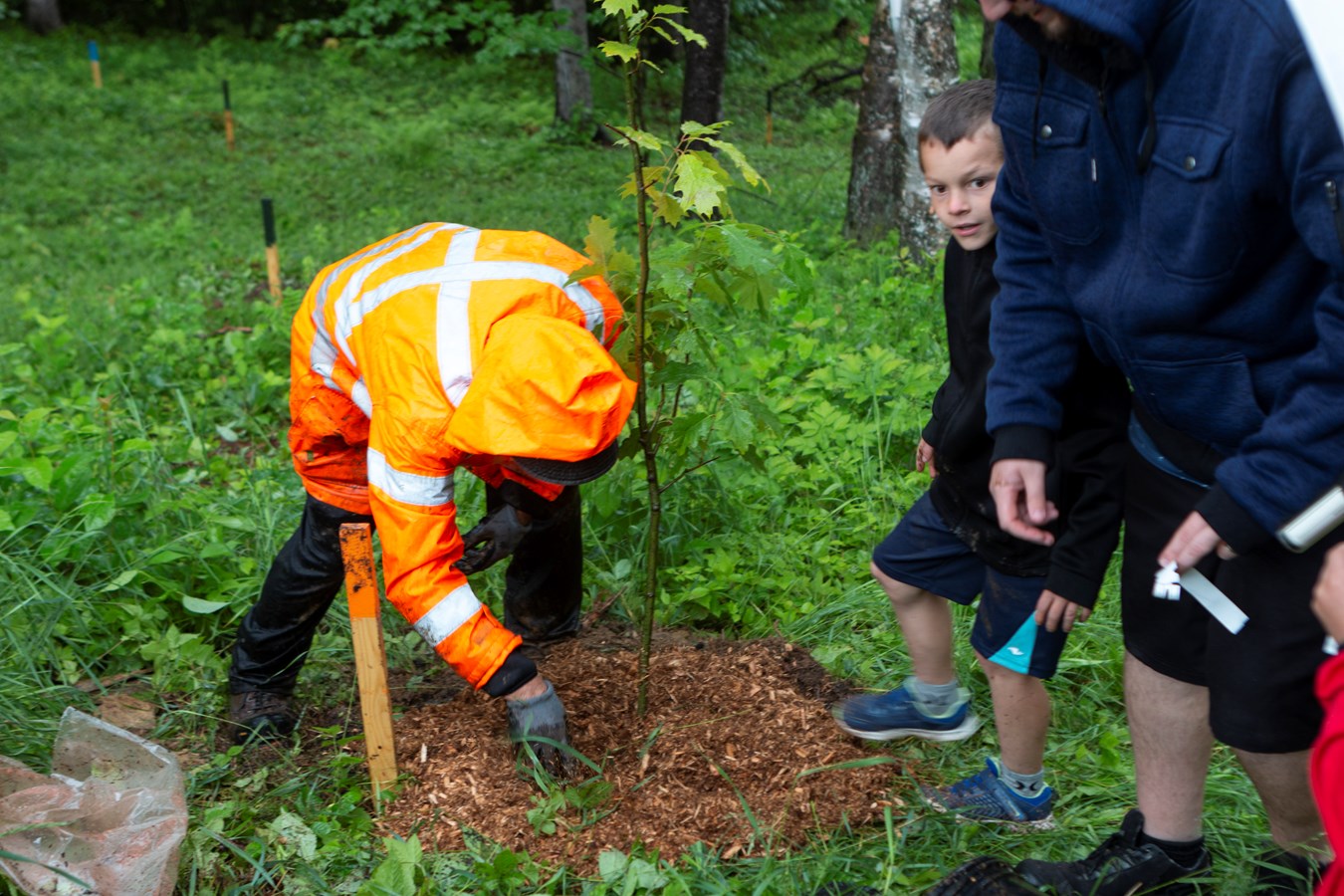 Un boisé à Saint-Georges pour les petits anges disparus