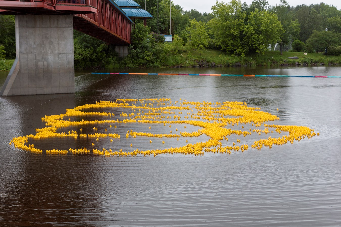 La Grande course des petits canards récolte plus de 21 000$