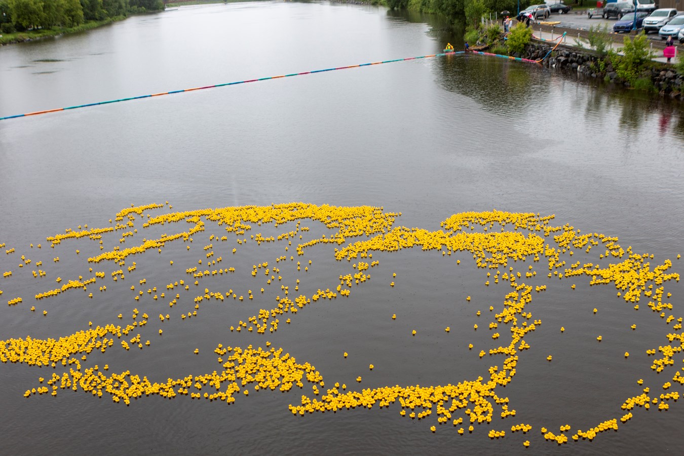 La Grande course des petits canards récolte plus de 21 000$