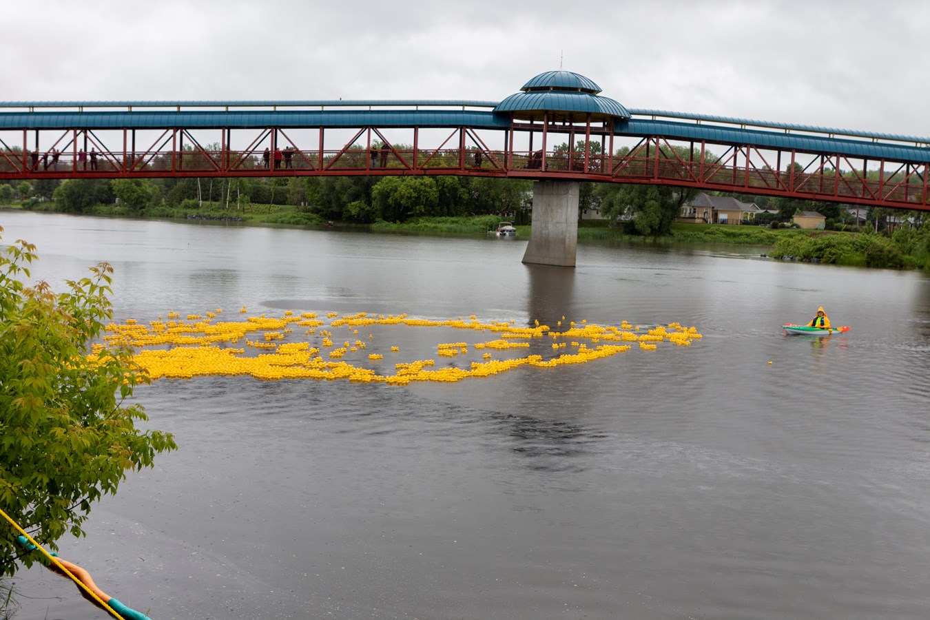 La Grande course des petits canards récolte plus de 21 000$