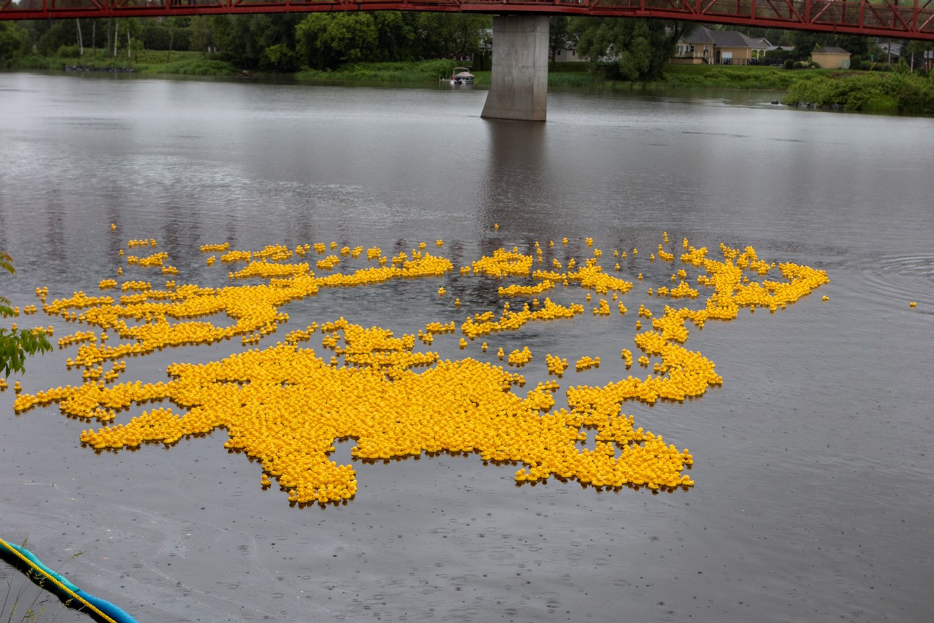 La Grande course des petits canards récolte plus de 21 000$