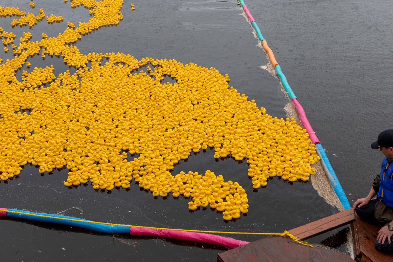La Grande course des petits canards récolte plus de 21 000$